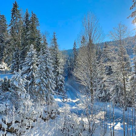 Haus Widmann Appartement Scheffau am Wilden Kaiser Buitenkant foto
